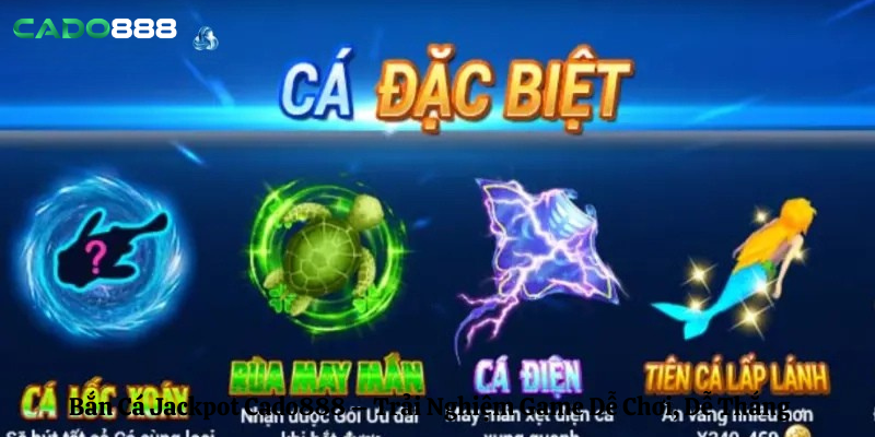 Cado888 Chia Sẻ Mẹo Chơi Bắn Cá Rùa Xanh Hiệu Quả