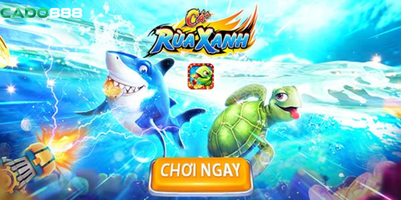 Sơ Lược Về Bắn Cá Rùa Xanh Tại Nhà Cái Cado888